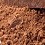 Cocoa Powder